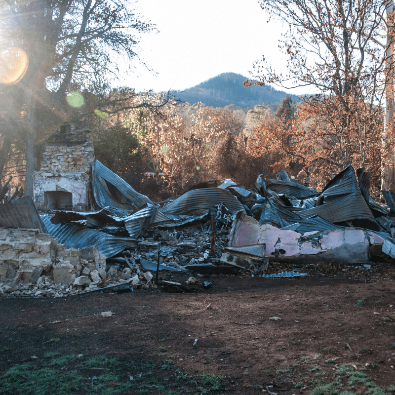 Black Summer - aftermath of Victorian bush fire